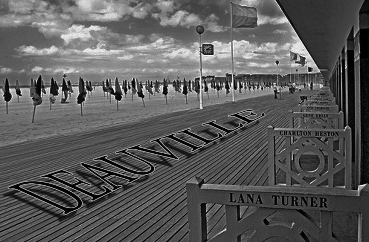 Studio Duplex L'Ecole Buissonniere Trouville-la-Haule Экстерьер фото